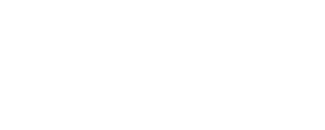 Working Adventures Logo 2020 White - no background