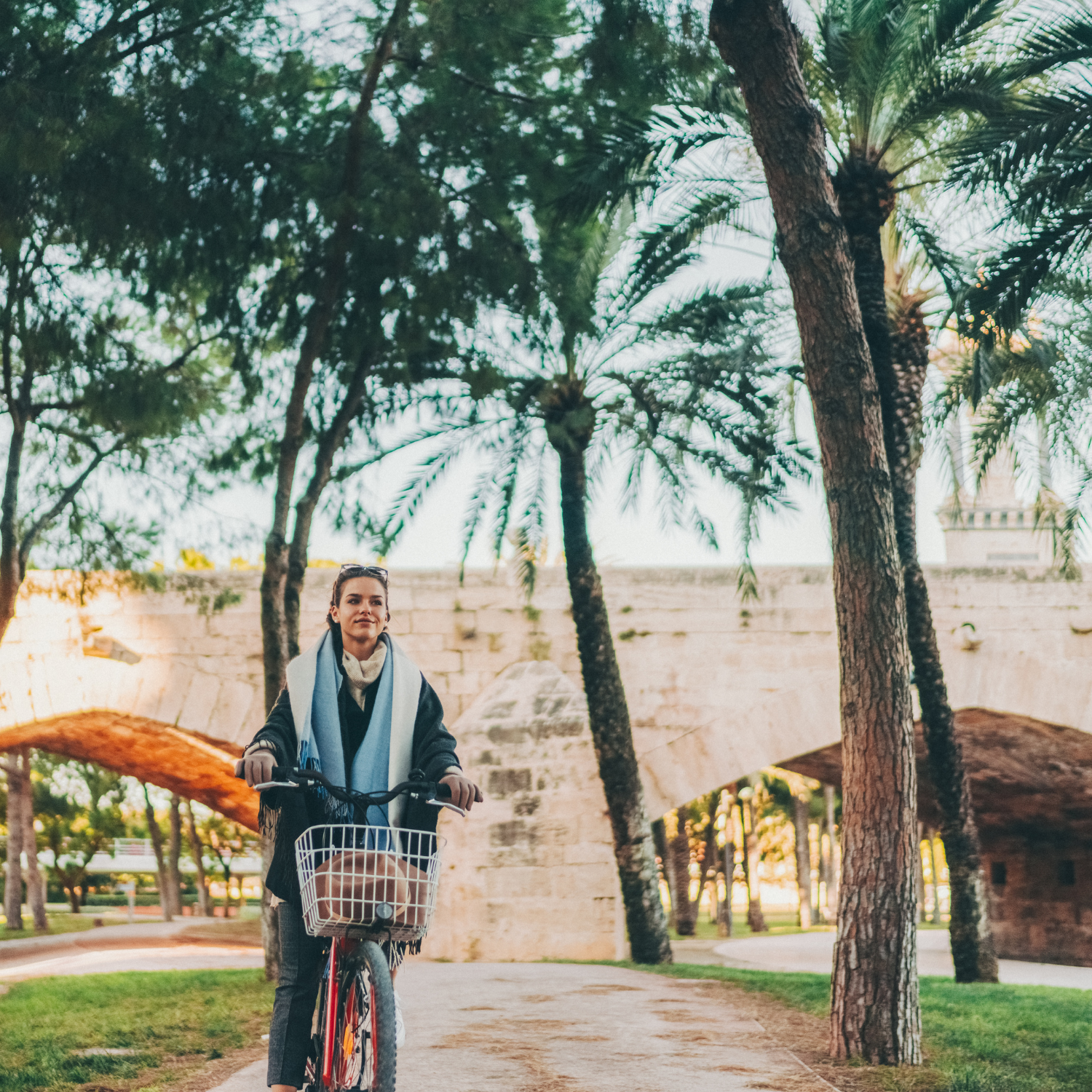 Commercieel Medewerker in Valencia