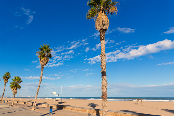Ga op avontuur naar Valencia als Backoffice Medewerker-2