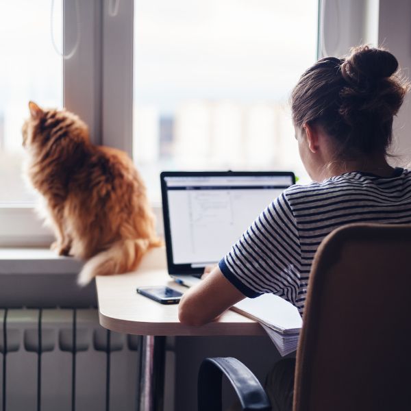 Work from anywhere in Europe from home