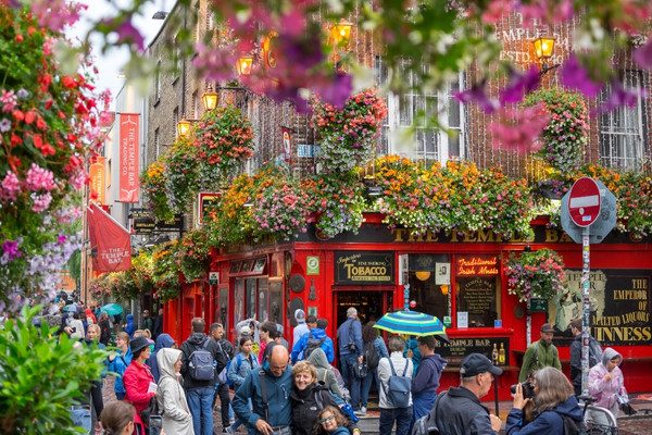 Arbejd som transskribent hos en verdensberømt virksomhed i Dublin