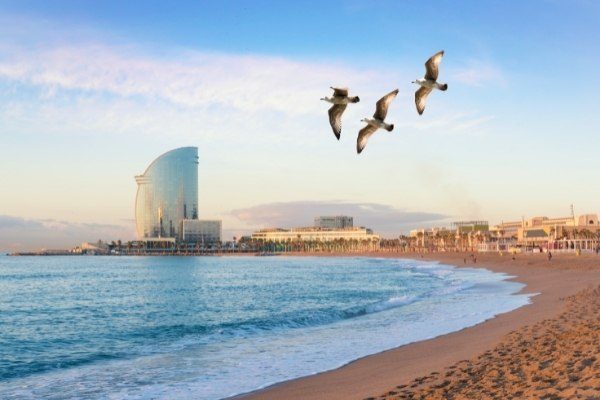 Unterstütze jetzt unser Google Team in Barcelona! Dein neues Glück in der strahlenden Sonne! (1)