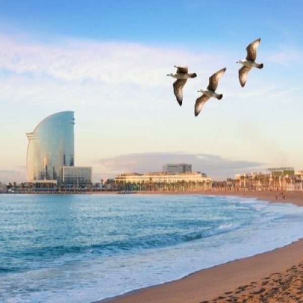 Unterstütze jetzt unser Google Team in Barcelona! Dein neues Glück in der strahlenden Sonne! (1)