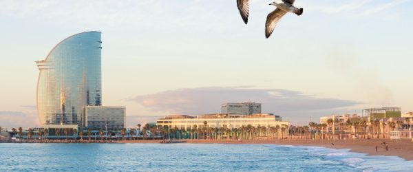 Unterstütze jetzt unser Google Team in Barcelona! Dein neues Glück in der strahlenden Sonne!